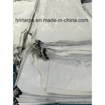 HDPE Woven Fabric Tarpaulin, LDPE Laminated PE Tarpaulin, Finished Tarpaulin Sheet, Polyethylene Tarpaulin Truck Cover